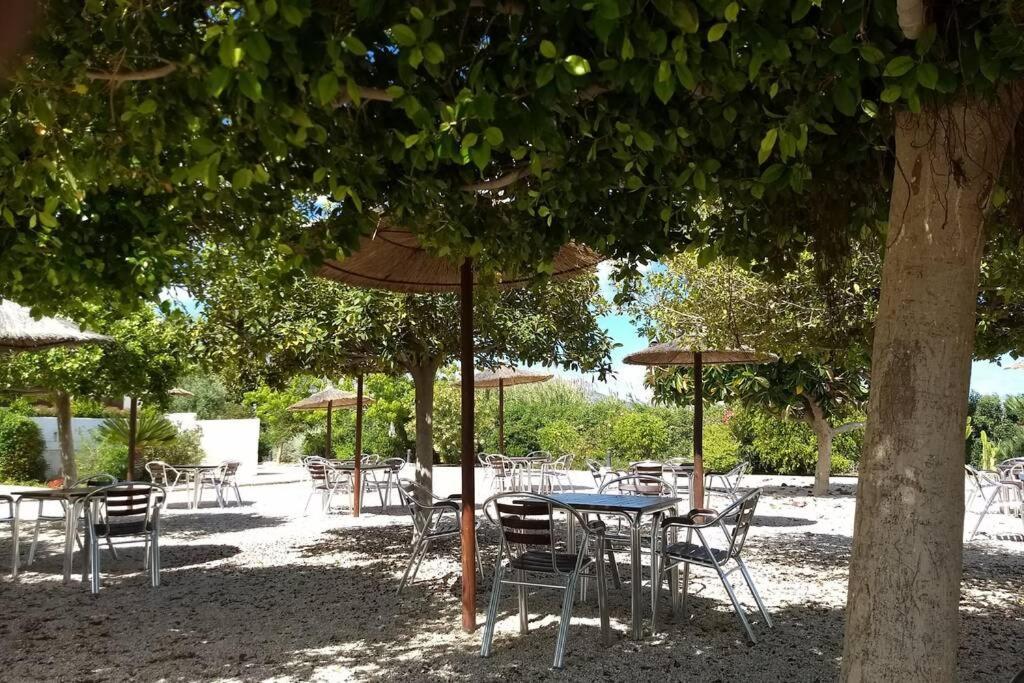 Beachfront Apt! Ac - Pool - Parking Leilighet Altea Eksteriør bilde