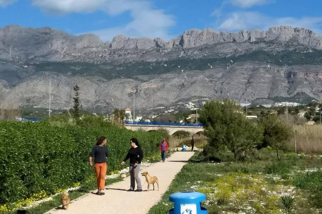 Beachfront Apt! Ac - Pool - Parking Leilighet Altea Eksteriør bilde